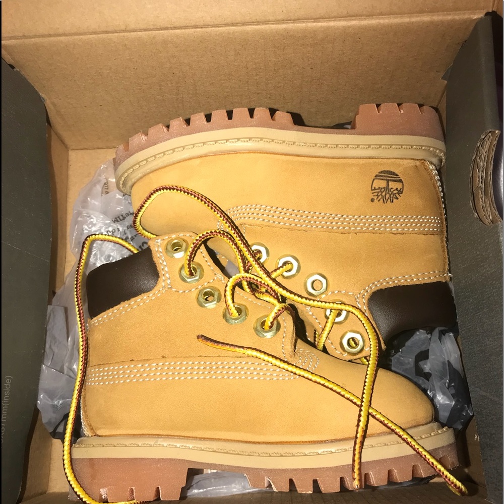 Infant Wheat Timberlands